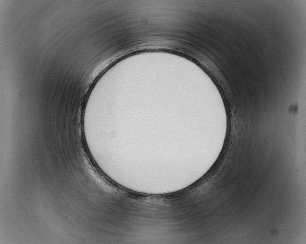 X0000115000842200911231203