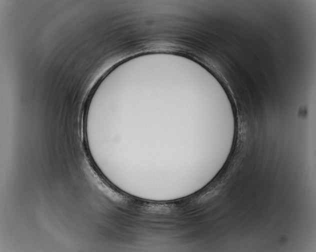 X0000115000843200911231203