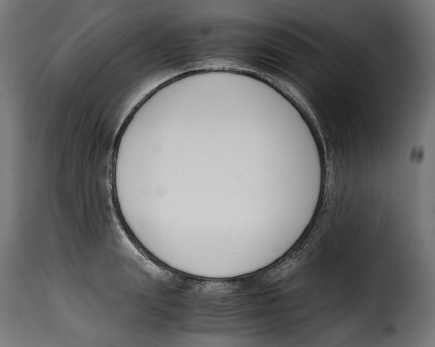 X0000115000847200911231203