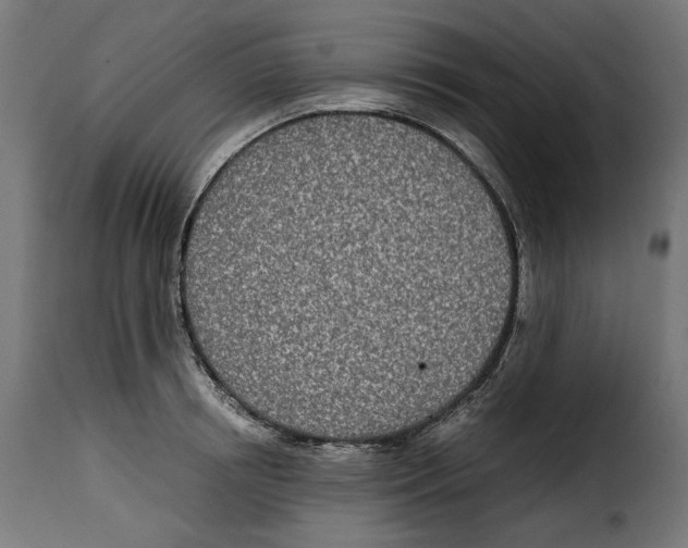 X0000115000850200911231203