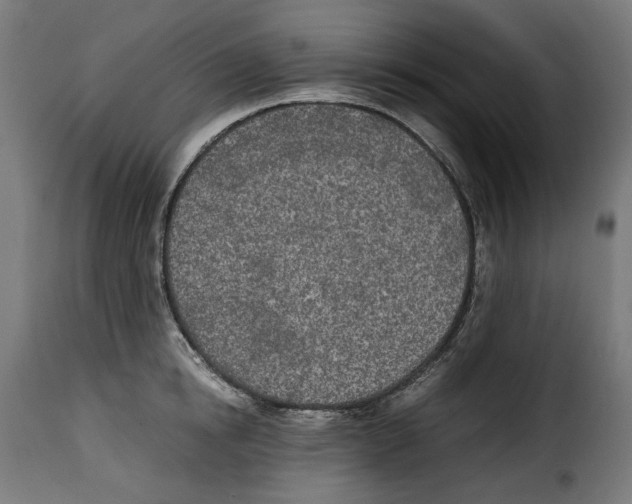 X0000115000854200911231203