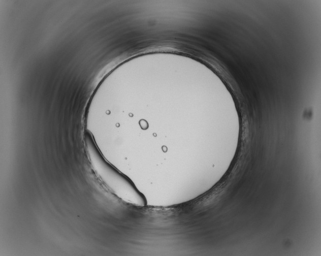 X0000115000858200911231203