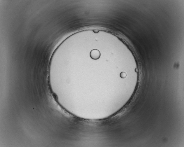 X0000115000860200911231203