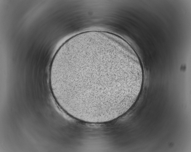 X0000115000862200911231203