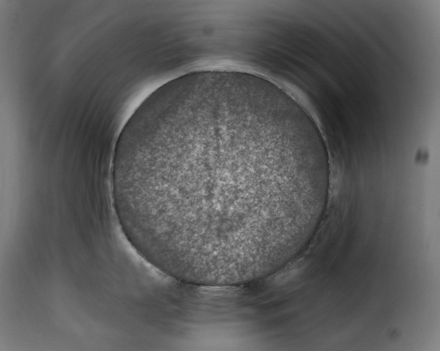 X0000115000863200911231203