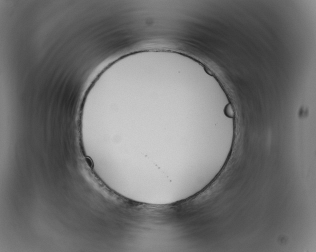 X0000115000864200911231203