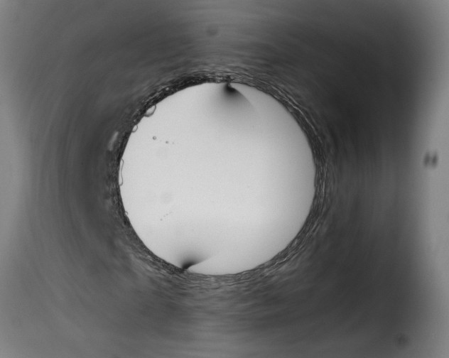 X0000115000865200911231202