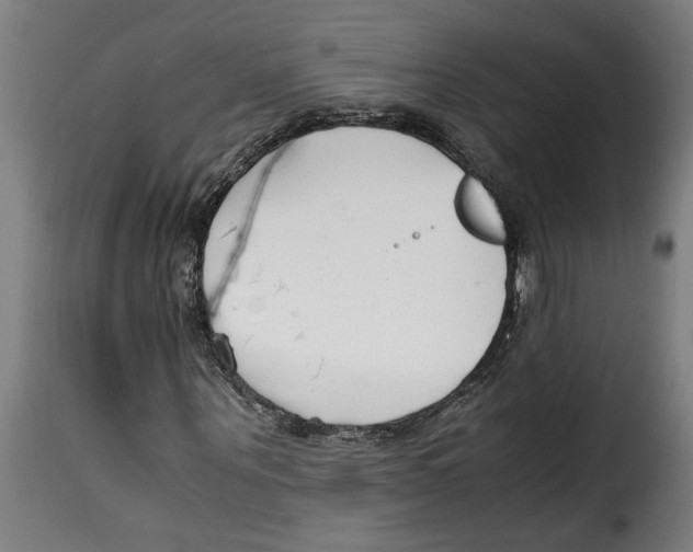 X0000115000867200911231202