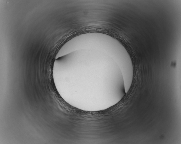 X0000115000868200911231202