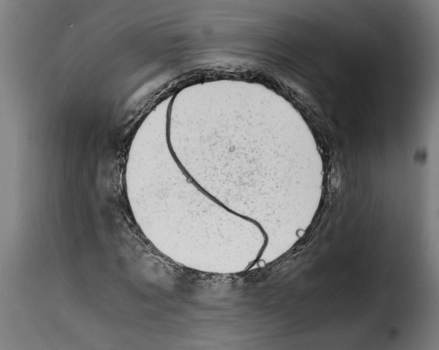 X0000115000869200911231202