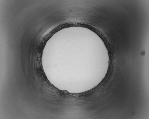 X0000115000871200911231202