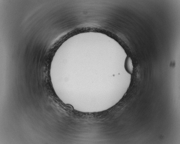 X0000115000872200911231202