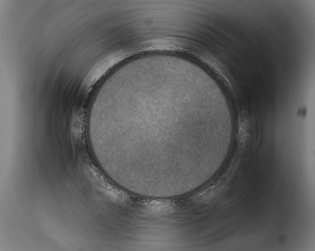 X0000115000874200911231202