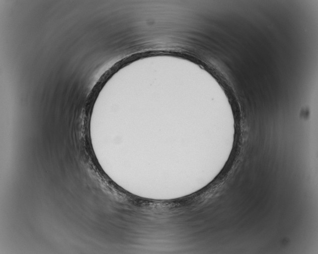 X0000115000875200911231202