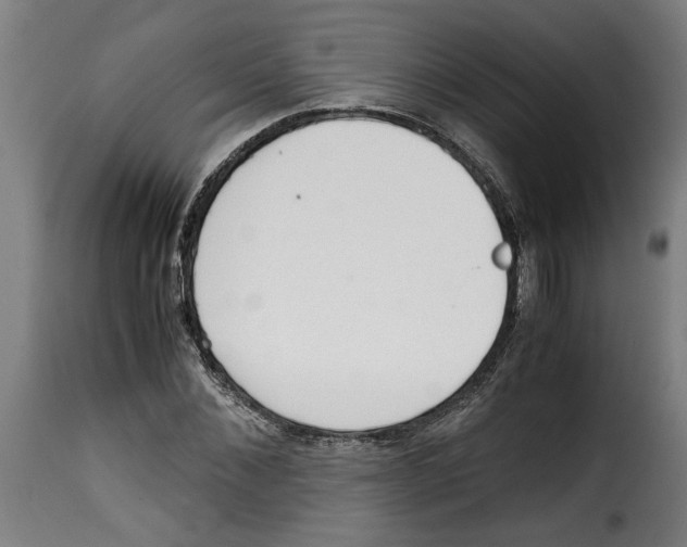 X0000115000876200911231202