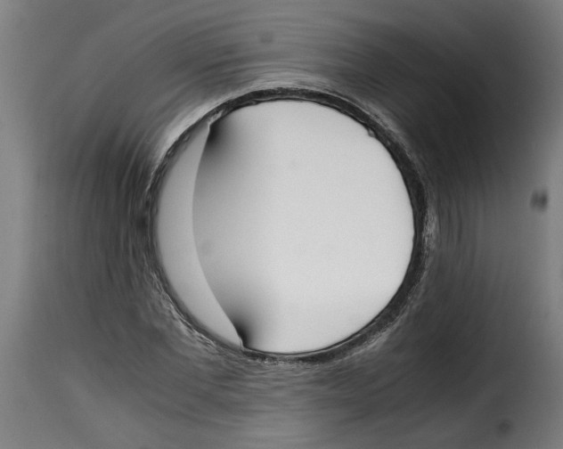 X0000115000877200911231202