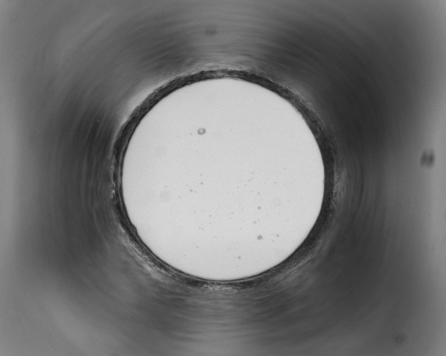 X0000115000878200911231202