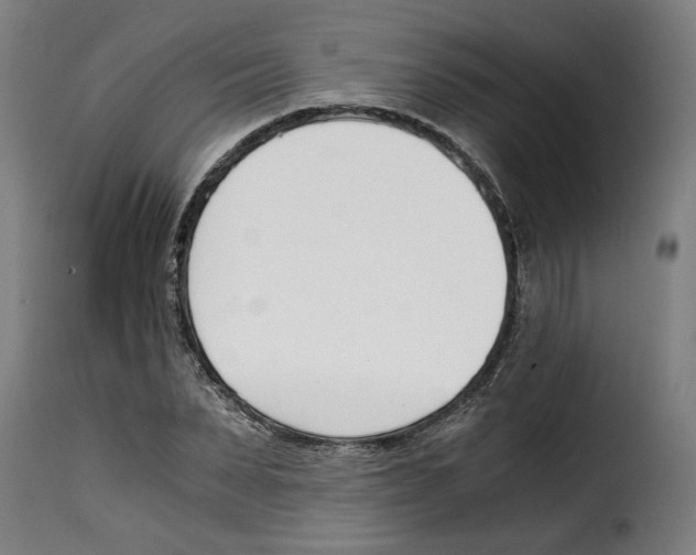 X0000115000879200911231202