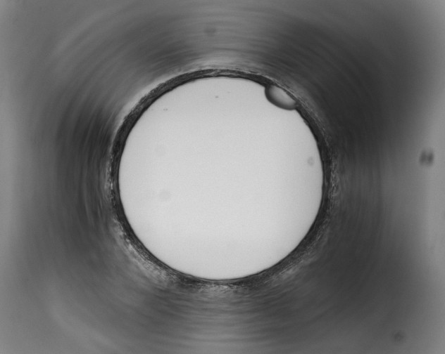 X0000115000880200911231202