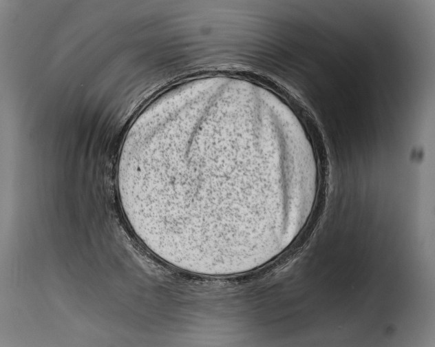 X0000115000881200911231202