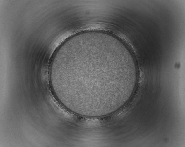 X0000115000882200911231202