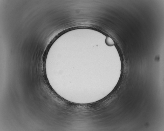 X0000115000883200911231202