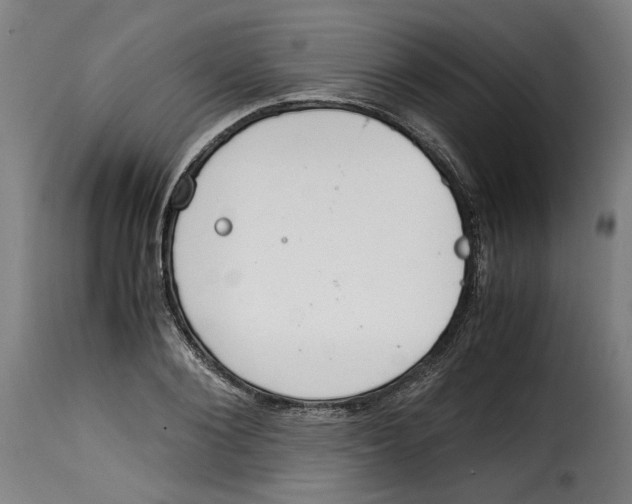 X0000115000884200911231202