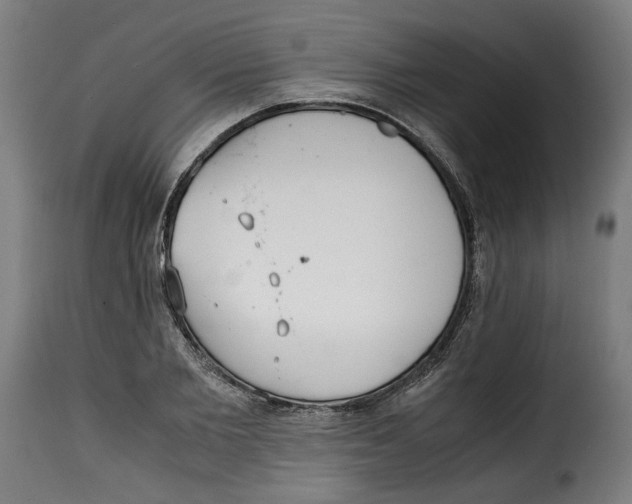 X0000115000885200911231202