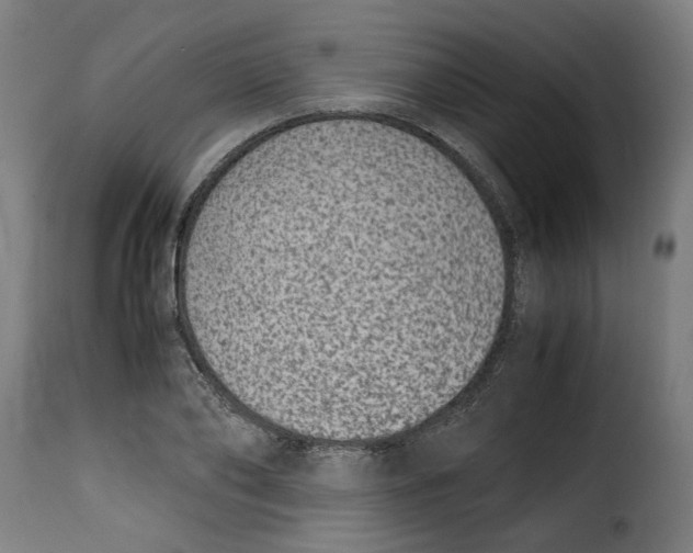 X0000115000886200911231202