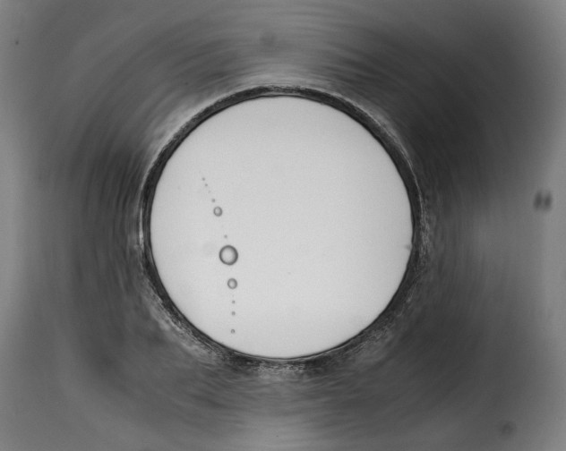 X0000115000887200911231202