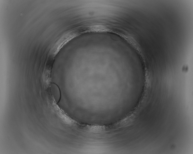 X0000115000889200911231202