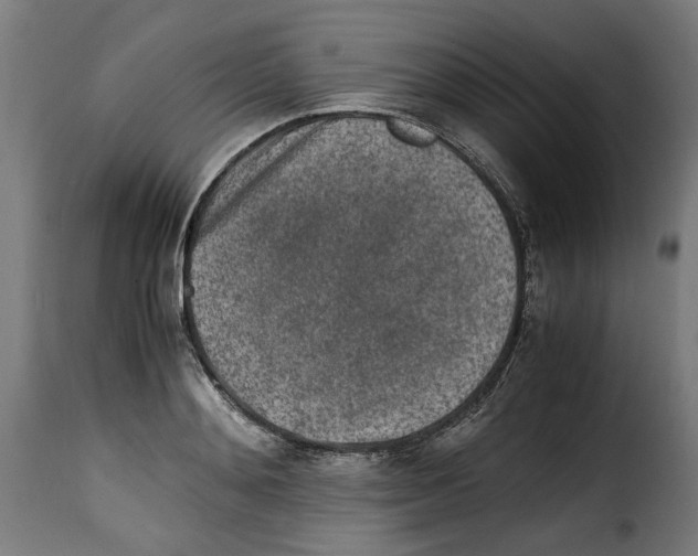 X0000115000892200911231202