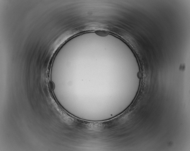 X0000115000893200911231202