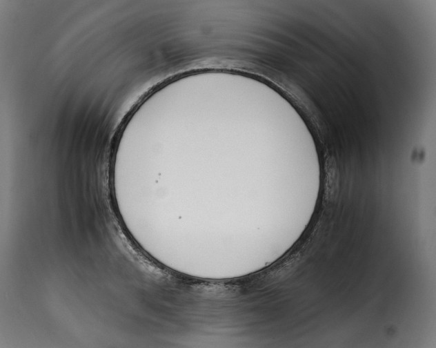 X0000115000896200911231202