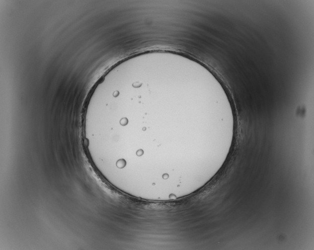 X0000115000898200911231202