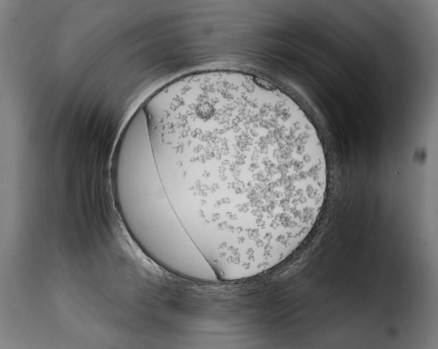 X0000115000900200911231202