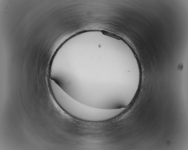 X0000115000901200911231202