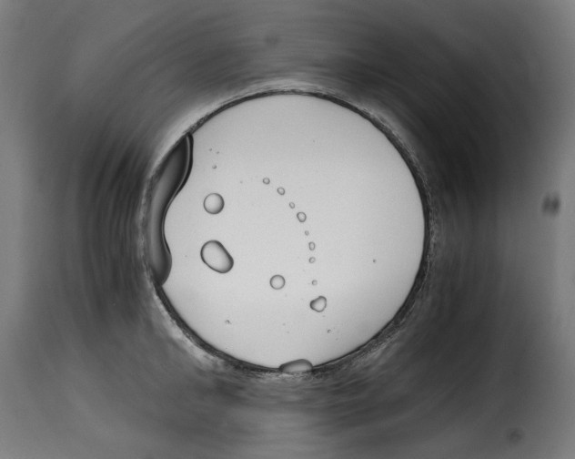 X0000115000902200911231202