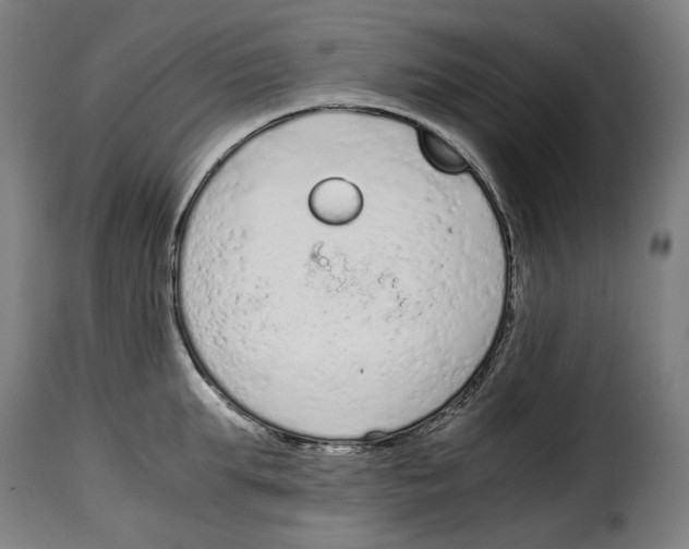 X0000115000903200911231202