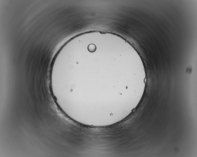 X0000115000904200911231202