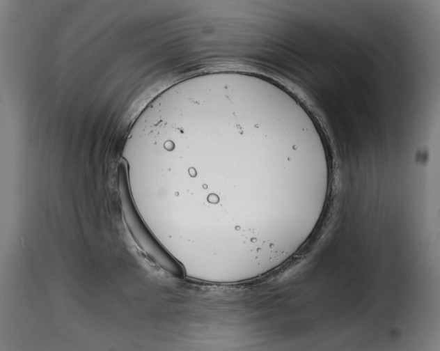 X0000115000905200911231202