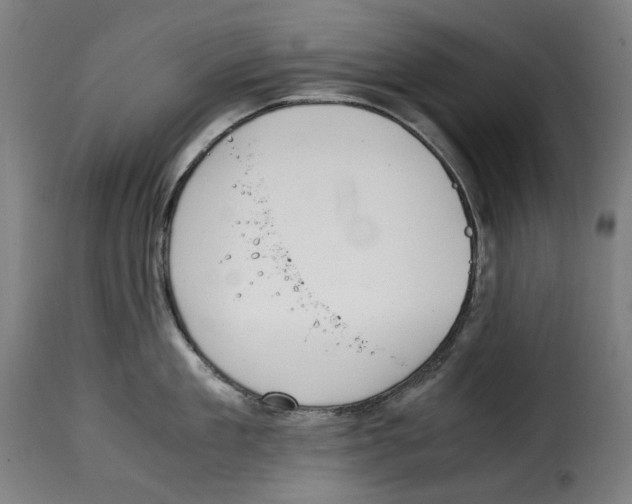 X0000115000909200911231202