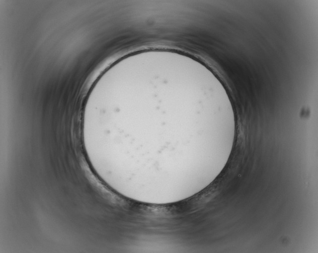 X0000115000911200911231201