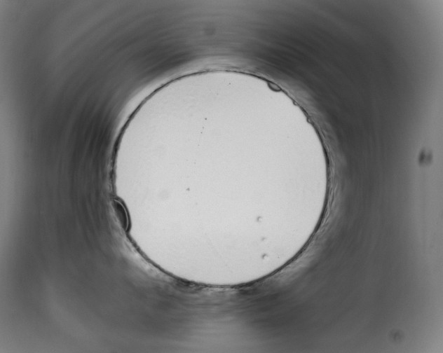 X0000115000912200911231201