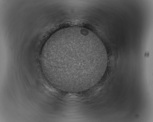 X0000115000913200911231201