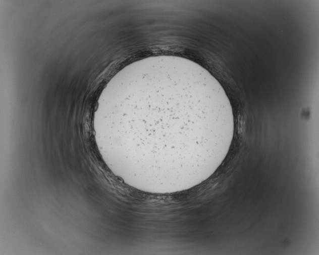 X0000115000915200911231201