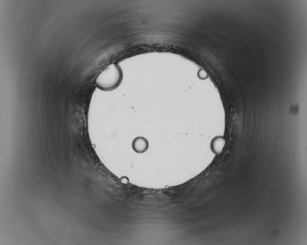 X0000115000918200911231201