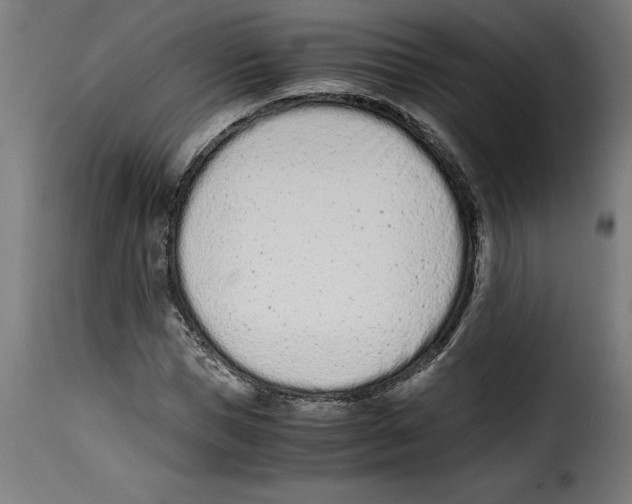 X0000115000921200911231201