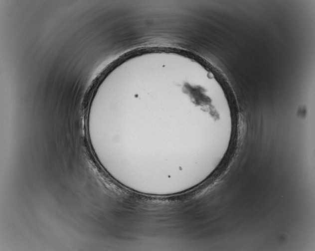 X0000115000925200911231201