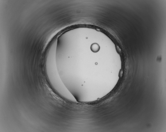 X0000115000926200911231201